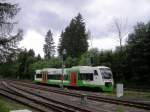 RS1 der STB (Sd-Thringen-Bahn) bei Ernstthal am Rennsteig auf der Fahrt nach Neuhaus am Rennweg