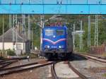 Am 16.Mai 2014 erreichte die SRI 151 033 mit dem Kreidezug aus Klementelvitz den Bahnhof von Bergen/Rügen.