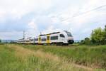 Trans Regio Mittelrheinbahn Siemens Desiro ML 460 521-7 am 10.06.18 bei Gau Algesheim 