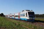 VT 113 und VT 110 der BOB bei einer Sonderfahrt von Amberg nach Schnaittenbach am 15.10.2011 zwischen Hirschau und Schnaittenbach,