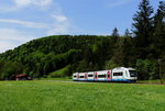 Zwischen Fischbachau und Geitau ist der VT 113 der BOB am 14.05.2016 unterwegs