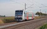 VT 001 der MRB war am 04.10.13 aus Richtung Kthen kommend auf dem Weg nach Halle(S). Hier durchfhrt der RS 1 Braschwitz.