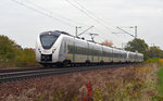 1440 202 der MRB wurde am 29.10.16 umleitungsbedingt zwischen Dresden und Chemnitz über Riesa umgeleitet. Hier passiert solch ein RE nach Hof Zeithain Richtung Riesa.