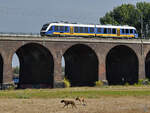 Der Dieseltriebzug der Nordwestbahn ist hier Ende August 2022 in Duisburg zu sehen.