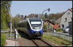 VT 643303 der Nordwestbahn fährt hier auf dem  Haller Willem  am 30.04.2017 pünktlich um 11.41 Uhr aus Osnabrück kommend auf dem Weg nach Bielefeld in den Haltepunkt Sutthausen ein. 