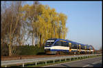 VT 643119 der Nord West Bahn trägt keine große NWB Beschriftung und weicht in der Lackierung von den Standardfahrzeugen ab. Am 30.3.2019 war er um 7.43 Uhr in Malbergen bei Osnabrück in Richtung Brackwede auf dem Haller Willem unterwegs.