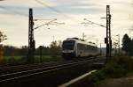 Ein RE10 einzeln fahrender Triebwagen ist hier im Gleisbogen bei Kaarst-Broicherseite gen Kleve fahrend von mir abgelichtet im Gegenlicht der Morgensonne. 8.11.2015