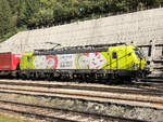 TXL - TX Logistik AG BR 193 550-1  Zwei Pole mit enormer Zugkraft  an einem KLV Zug richtung Verona.