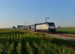 185 407 mit dem Walter-KLV nach Wanne am 19.07.2014 bei Langenisarhofen.