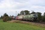 193 582-4 (TX Logistik -  Unser Herz schlägt grün ) mit einem Güterzug in Hilperting, 12. Oktober 2023