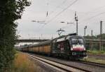 Am 3.September 2013 war MRCE/TXL 182 510 mit einem Altmann-Zug bei Elze(Han) auf dem Weg Richtung Sden.