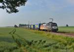 182 560 mit DGS 43944 am 13.06.2015 bei Langenisarhofen. 