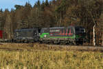 193 265 und ES 64 F4-037 vor einem Güterzug bei Eglharting am 8.12.16.