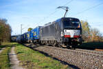 193 878 MRCE/TXL mit einem LKW-Walter KLV-Zug bei Postbauer-Heng Richtung Regensburg, 14.11.2020