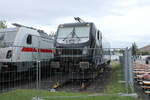 TXL 188 010 (91 80 6188 010-3 D-BTK) am 01.07.2023 beim Tag der offenen Tür im Alstom-Werk Kassel.