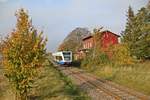 Der 646 110-6 der UBB befuhr am 16.10.17 die Stillegungsbedrohte Strecke Barth-Velgast(-Stralsund).