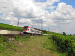 VIAS 405 als VIA 25016 von Frankfurt (M) Hbf nach Neuwied, am 07.07.2012 bei Hattenheim.
