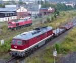 Wedler Franz Logistik (WFL) Ludmilla, 231 012-8 ( 9280 1231 012-8 D-WFL ) beim rangieren in Gera am 16.8.2020.