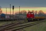 WFL-Lok 3 abgestellt auf dem Süd-Bahnhof Neustrelitz.