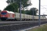 WLE 23 (223 057-1) mit dem Warsteiner Bierzug zwischen Growudicke und Rathenow in Richtung Wustermark. 18.08.2010