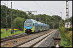 Westfalenbahn ET 603 ist hier am 1.9.2023 um 15.52 Uhr in Westerkappeln-Velpe nach Rheine unterwegs.