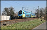 Westfalenbahn ET 602 ist hier am 3.3.2022 um 10.42 Uhr bei Lotte auf dem Weg von Braunschweig nach Rheine.