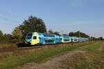 445 710 der  Westfalenbahn  aus Braunschweig kommend am 16. September 2023 bei Woltorf.