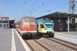 RHEINE (Kreis Steinfurt), 02.10.2013, links RB 68 von Münster/Westf. Hbf auf Gleis 4, rechts ET014 der Westfalenbahn als RB 65 nach Münster/Westf. Hbf auf Gleis 3