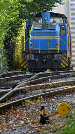 Anfang September 2025 stand diese Henschel DHG 500 C Werkslokomotive auf dem Gelände der Alstom Reuschling Service GmbH in Hattingen.