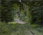 Die echte Premierenfahrt auf der Ablachtalbahn.

Der Oberbau befindet sich im die letzten Jahre gesperrten Streckenteil ganz offenbar in einem hervorragenden Zustand. Bisweilen allerdings schleicht sich die Natur in Wellen wieder über die Strecke.

Fotostandort Fahrgastraum. Zizenhausen, 08. August 2021.