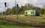 Gleis 2 im Bf frei von Schienen und Schwellen | 248-BUG-08 | 248 024-2 D-BUG | Anklam | September 2026 (Bauarbeiten)