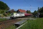 193 893 am 06.05.25 zwischen Rathen und K�nigstein