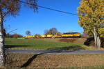 Am 06.11.2025 fuhr die 233 493 der BD Bahnbaugruppe mit einem Umbauzug bei Oberjößnitz auf dem Weg nach Königsborn.