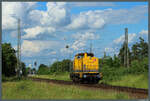 293 010-5 der DB Bahnbau Gruppe f�hrt am 05.06.2026 durch Sch�nebeck-Bad Salzelmen.