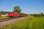 185 394 DB Cargo mit einem E-Wagenzug bei Oberdachstetten Richtung Würzburg, 13.06.2021
