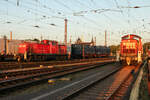 Golden Slumbers: In den letzten goldgelben Sonnenstrahlen des Tages ruhen 294 828-9 und 294 840-4 sich im Bahnhof Dillingen (Saar) aus. (19.06.2025)