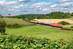185 163 DB Cargo mit einem gemischten Güterzug bei Laaber Richtung Regensburg, 21.08.2021