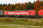 193 338 von DB Cargo zwischen den Büschen geklickt um den bunten Hintergrund ins Bild zu bekommen.