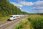 403 012 DB Fernverkehr  Montabaur  als ICE 622 (München Hbf - Dortmund Hbf) bei Hagenbüchach, 01.09.2021