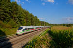 403 018 DB Fernverkehr als ICE 528 (München Hbf - Dortmund Hbf) bei Hagenbüchach, 04.09.2021
