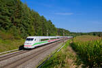 ICE 584 (Nürnberg Hbf - Lübeck Hbf) bei Hagenbüchach, 08.09.2021
