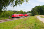 146 247 DB Regio als RE 4854 (München Hbf - Nürnberg Hbf) bei Beratzhausen, 21.08.2021