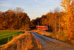 425 085 DB Regio als RB (Würzburg Hbf - Treuchtlingen) bei Steinach bei Rothenburg, 09.11.2021