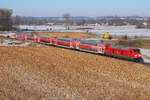 245 012 bei Rampoldsheim am 20.01.2026.