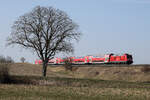 245 011 mit einer RB bei Markt Schwaben in Richtung Dorfen am 10.3.2026.