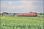 Ein absoluter Glücksfall: Zugkreuzung auf freier Strecke am 21.4.2026 um 15.45 Uhr bei Wenzenbach zwischen Regenstauf und Regensburg. Während DB 612513 auf dem Weg nach Nürnberg ist, kommt ihm der Alex aus Prag mit Zuglok 223067 entgegen.