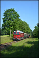 Historischer Nahverkehr auf der Insel Rügen: Die Diesellok V200 507 (EBS) und am Zugschluss Dampflok 86 1744-1 (PRESS) am 14.06.2025 bei Neklade.