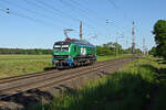 Ohne Anhang rollte am 25.05.26 248 071 der Flex Bahndienstleistungen durch Wittenberg-Labetz Richtung Dessau.