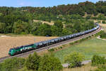 Flex mit Kesselzug am 6.8.2026 bei Hagenacker.
