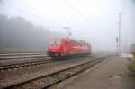 Geisterbahn oder Blindflug? 185 604-6 der HGK trotzt mit ihrer knalligen Lackierung den ersten zhen Herbstnebel des Jahres 2008.